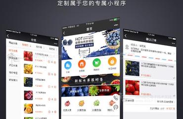 南昌專(zhuān)業(yè)開(kāi)發(fā)小程序朋友圈廣告投放